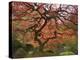 Japanese Maple, Portland Japanese Garden, Oregon, USA-William Sutton-Premier Image Canvas