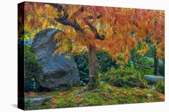 Japanese Maple Tree in Autumn, Japanese Gardens, Portland, Oregon-Chuck Haney-Premier Image Canvas