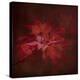 Japanese Maple-Jai Johnson-Premier Image Canvas