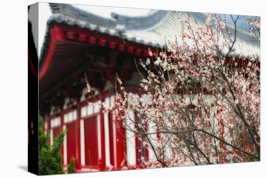 Japanese Plum Tree Blossom-George Oze-Premier Image Canvas