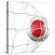 Japanese Soccer Ball in a Net-zentilia-Stretched Canvas