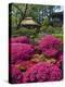 Japanese Tea Garden, Golden Gate Park, San Francisco-Anna Miller-Premier Image Canvas