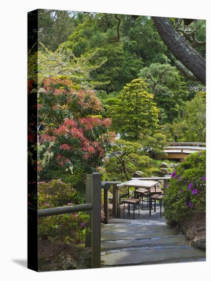 Japanese Tea Garden, Golden Gate Park, San Francisco-Anna Miller-Premier Image Canvas