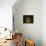 Jar of Dreams-Fabio Panichi-Premier Image Canvas displayed on a wall