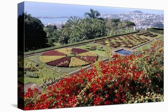 Jardim Botanico (Botanical Gardens), Funchal, Madeira, Portugal, Atlantic-Jenny Pate-Premier Image Canvas