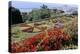 Jardim Botanico (Botanical Gardens), Funchal, Madeira, Portugal, Atlantic-Jenny Pate-Premier Image Canvas