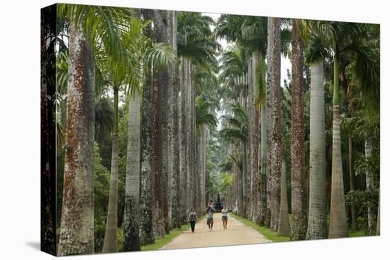 Jardim Botanico (Botanical Gardens), Rio de Janeiro, Brazil, South America-Yadid Levy-Premier Image Canvas