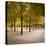 Jardin Du Luxembourg, Latin Quarter, Paris, France-Jon Arnold-Premier Image Canvas