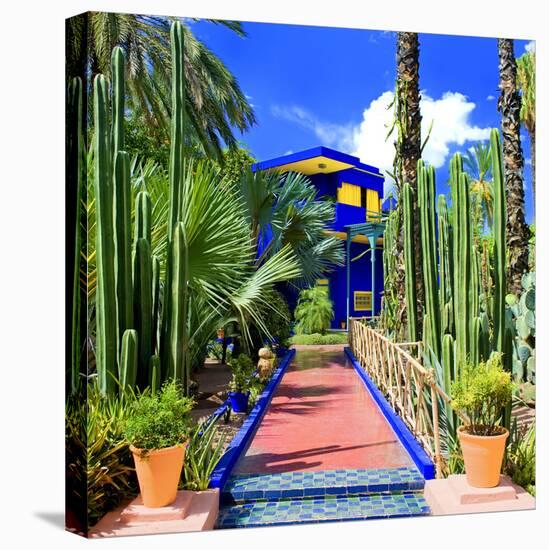 Jardin Majorelle - Marrakech - Morocco - North Africa - Africa-Philippe Hugonnard-Premier Image Canvas