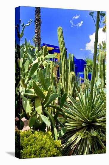 Jardin Majorelle - Marrakech - Morocco - North Africa - Africa-Philippe Hugonnard-Premier Image Canvas