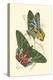 Jardine Butterflies III-Sir William Jardine-Stretched Canvas