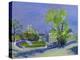 Jardins De Luxembourg-Anne Durham-Premier Image Canvas