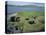 Jarlshof, Shetland, Scotland, United Kingdom-David Lomax-Premier Image Canvas