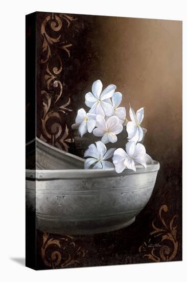 Jasmine Bowl-Gerard Beauvoir-Stretched Canvas