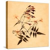 Jasmine-Graeme Harris-Premier Image Canvas