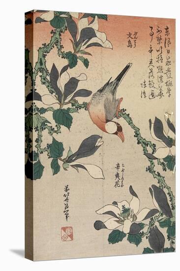 Java Sparrow and Magnolia, C. 1832-Katsushika Hokusai-Premier Image Canvas