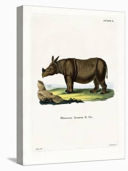 Javan Rhinoceros-null-Premier Image Canvas