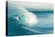 Jaws - Maui-Scott Bennion-Stretched Canvas