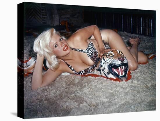 Jayne Mansfield Wearing a Leopard Print Bikini on a Tiger Skin Rug Undated United States-null-Stretched Canvas