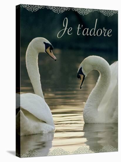 Je t'Adore-Robert Harding-Stretched Canvas