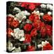 Je Taime Roses-Kate Bennett-Stretched Canvas