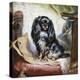 Jeannie, Queen Victoria's Favourite Spaniel-Gourlay Steel-Premier Image Canvas