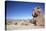 Jeep Driving Through Rocky Landscape on the Altiplano, Potosi Department, Bolivia, South America-Ian Trower-Premier Image Canvas