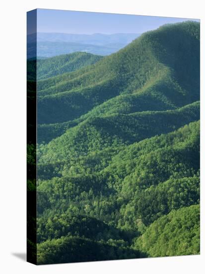 Jefferson National Forest, Virginia, USA-Charles Gurche-Premier Image Canvas