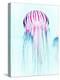 Jelly Fish-Tai Prints-Premier Image Canvas