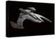 Jem'Hadar Battle Cruiser Model-null-Premier Image Canvas