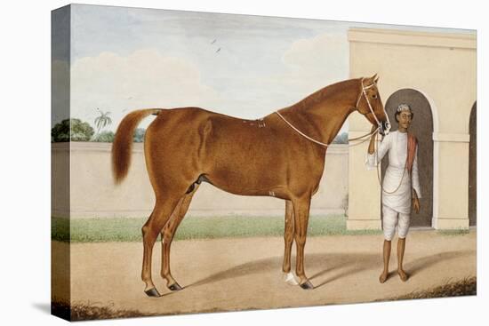 Jeremy Jumps, a Chestnut Stallion-Shaykh Muhammad Amir Of  Karraya Amir Of  Karraya-Premier Image Canvas