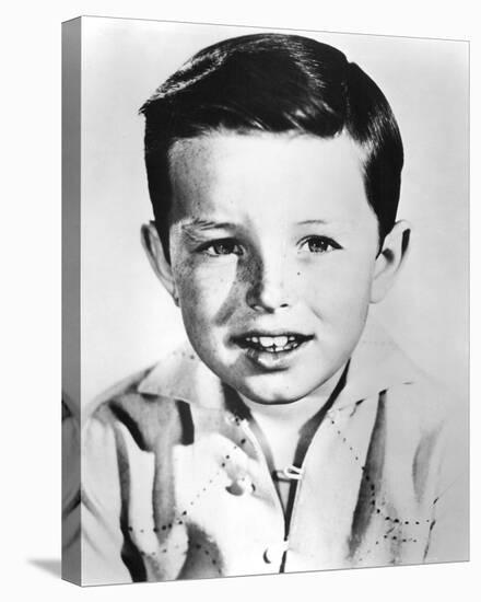 Jerry Mathers, Leave It to Beaver (1957)-null-Stretched Canvas