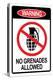 Jersey Shore No Grenades Allowed-null-Stretched Canvas