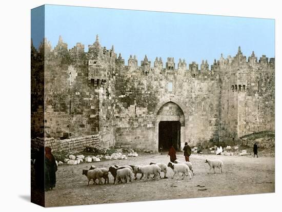 Jerusalem: Damascus Gate-null-Premier Image Canvas