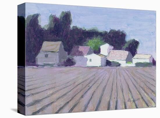 Jessup County-William Buffett-Stretched Canvas