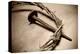Jesus Crown of Thorns & Nail-null-Stretched Canvas