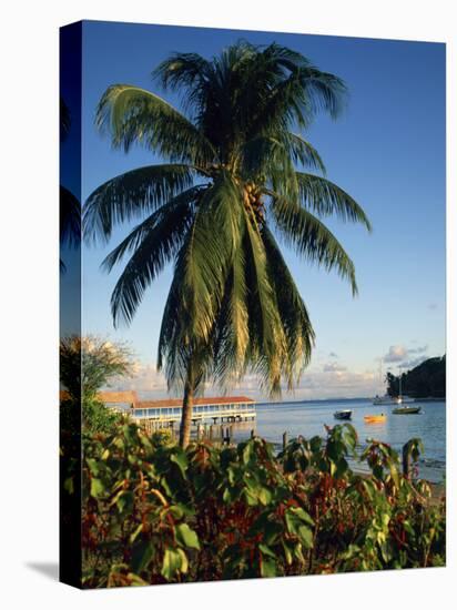 Jetty and Palm Tree, Villa Bay, Young Island, St. Vincent, Windward Islands, West Indies, Caribbean-Richardson Rolf-Premier Image Canvas