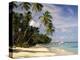 Jetty off Pigeon Point, Tobago, Caribbean-John Miller-Premier Image Canvas