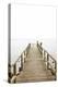 Jetty, the Baltic Sea, Wooden Jetty, Bathing Jetty-Nora Frei-Premier Image Canvas