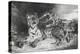 Jeune tigre jouant avec sa mère, lithographie 1er état-Eugene Delacroix-Premier Image Canvas