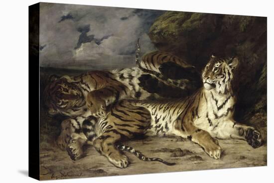 Jeune tigre jouant avec sa mère-Eugene Delacroix-Premier Image Canvas