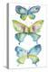 Jeweled Butterflies IV-Chariklia Zarris-Stretched Canvas
