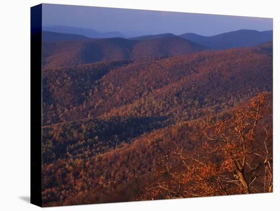 Jewell Hollow, Shenandoah National Park, Virginia, USA-Charles Gurche-Premier Image Canvas