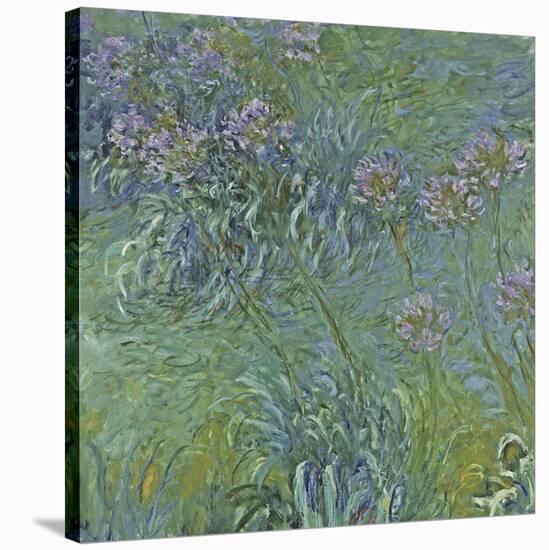 Jewelry lilies-Claude Monet-Stretched Canvas