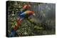 Jewels of the Forest-Michael Jackson-Premier Image Canvas