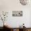 Jews praying at Western Wall, Jerusalem, Israel-null-Premier Image Canvas displayed on a wall