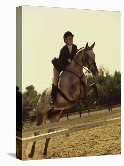 Jockey And a Horse Jumping Over a Hurdle-null-Premier Image Canvas