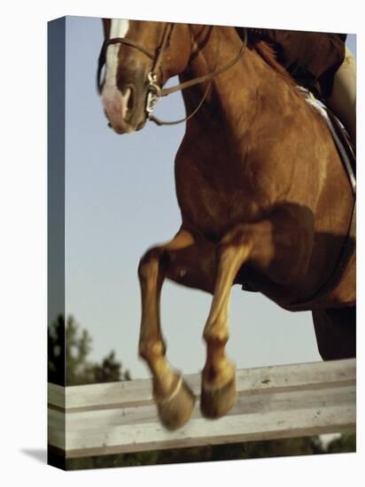 Jockey And a Horse Jumping Over a Hurdle-null-Premier Image Canvas