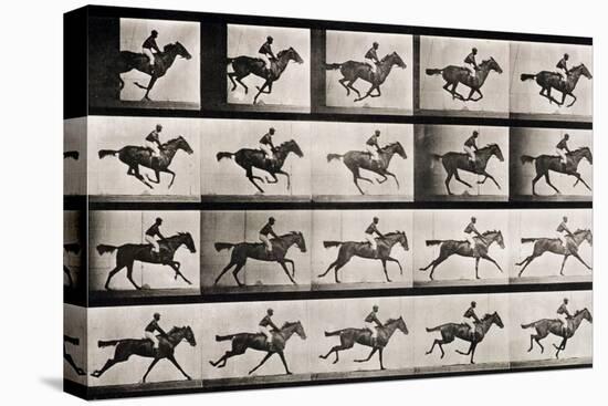 Jockey on a Galloping Horse, Plate 627 from "Animal Locomotion," 1887-Eadweard Muybridge-Premier Image Canvas