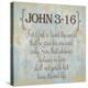 John 3-16-Taylor Greene-Stretched Canvas